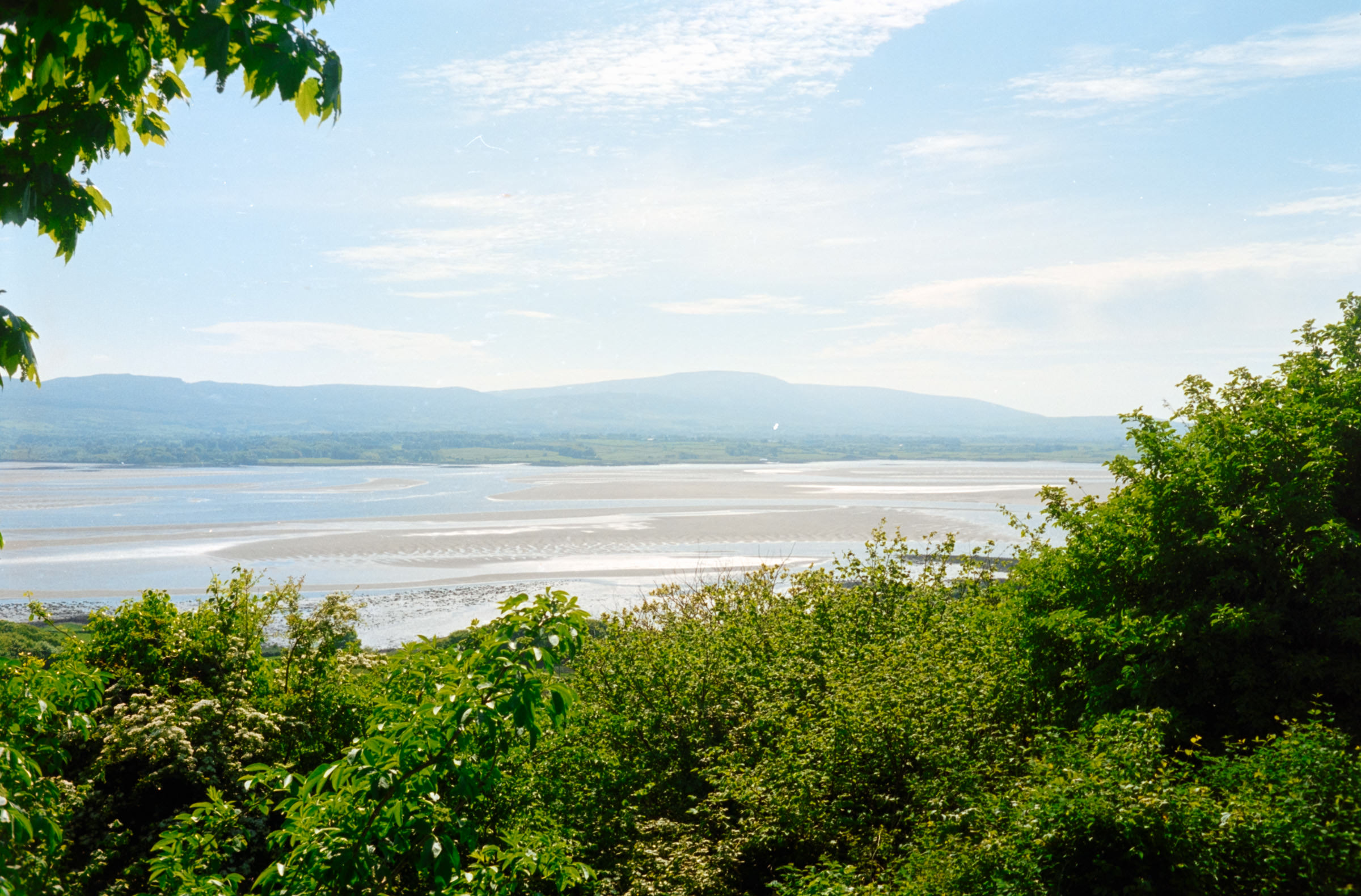 AHP F1998 05 003 sc240815 img13 NLP